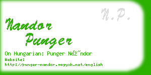 nandor punger business card